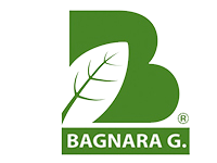 Bagnara Guido 